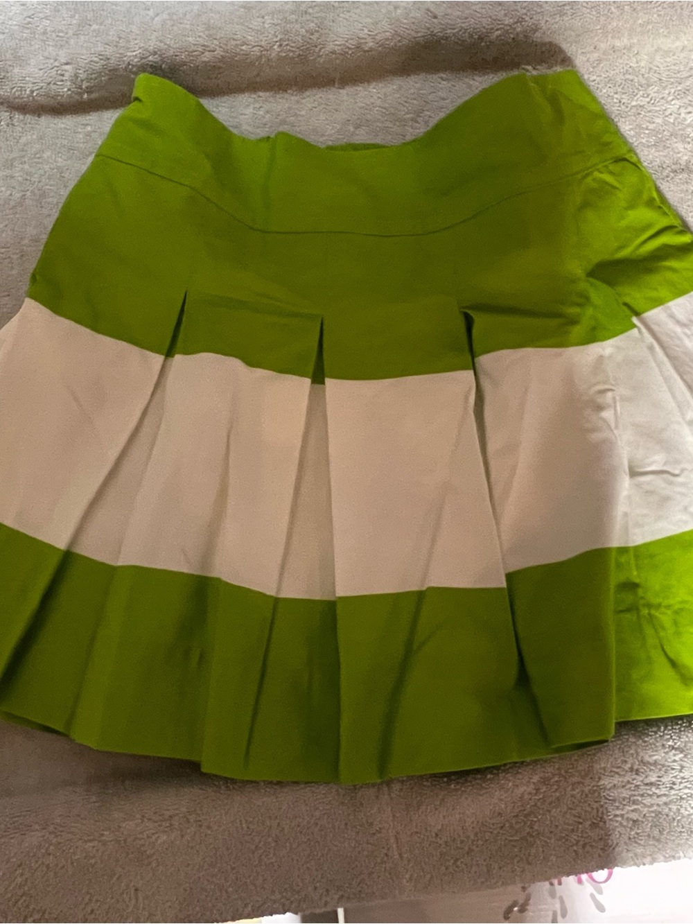 Gilly Hicks Green and White Pleated Mini Skirt